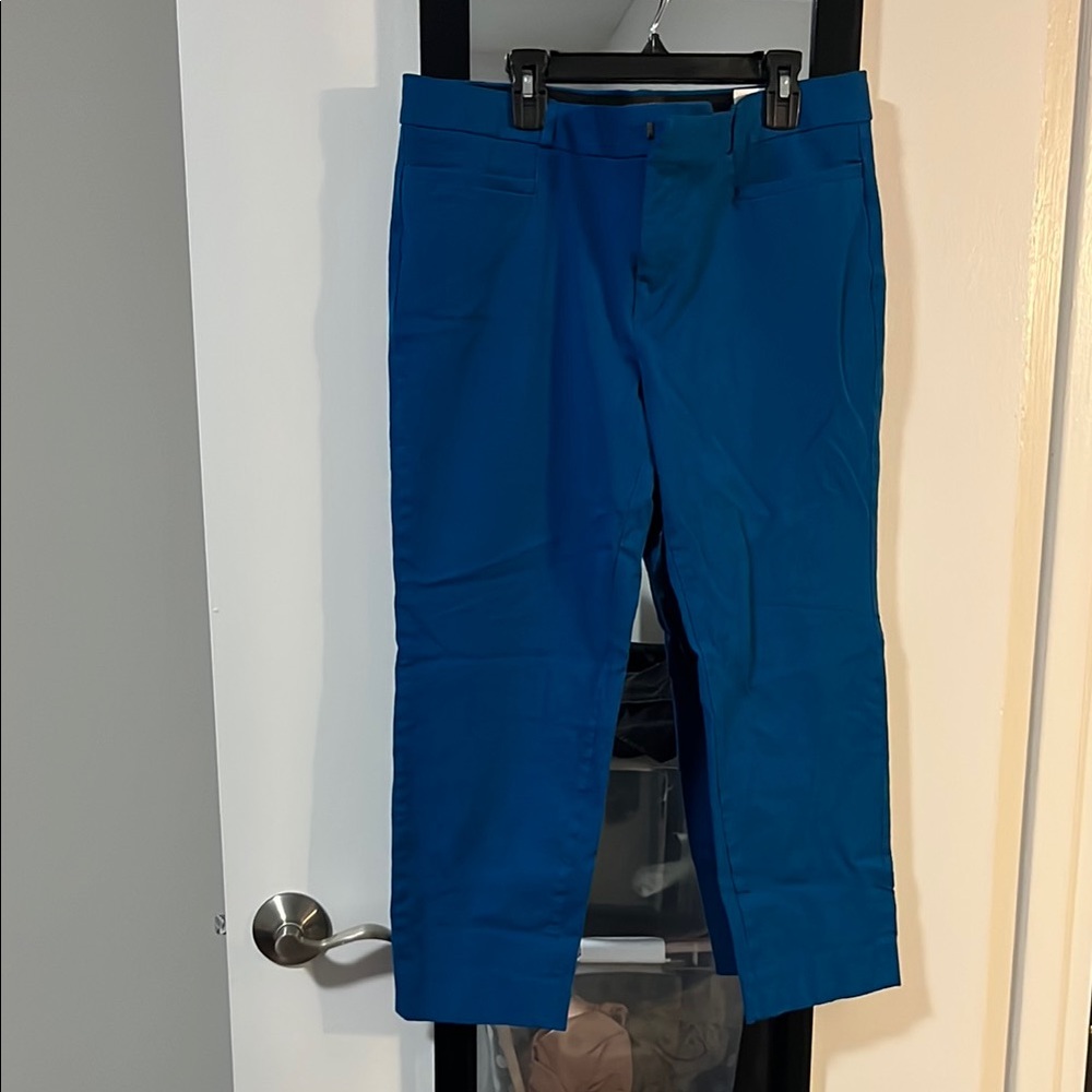 Banana Republic Women Blue Pants